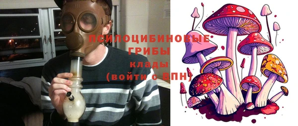 хмурый Михайловск