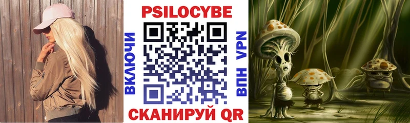 Галлюциногенные грибы Psilocybine cubensis  Купить где  Чаплыгин 