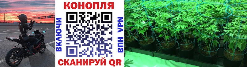 Канабис тримм  Купить где  Чаплыгин 